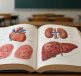 Open anatomy textbook displaying illustrations of the human heart, kidneys, and liver in a classroom setting